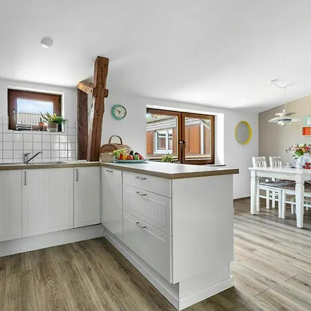 Light-flooded On The Baltic Sea Steinberg (Schleswig-Holstein)