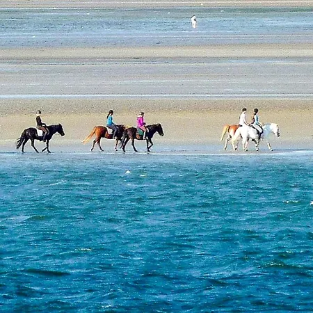 Hébergement de vacances Light-flooded On The Baltic Sea